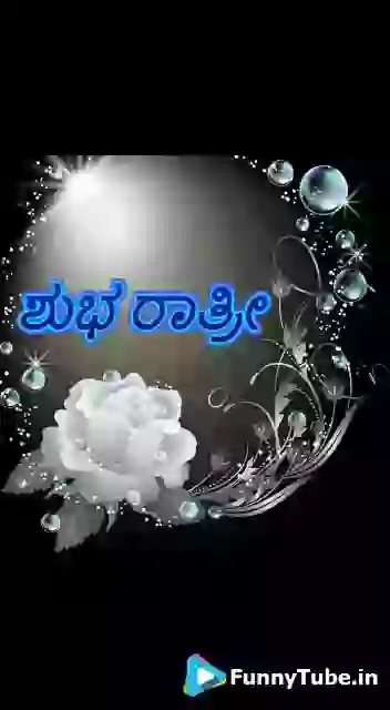 Good Night GIF for Whatsapp