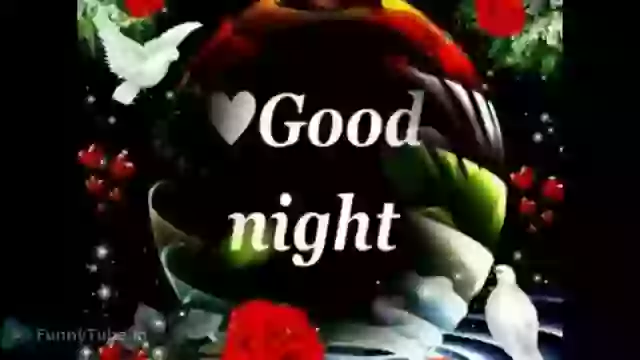 Good Night Greeting For Friends Status Video