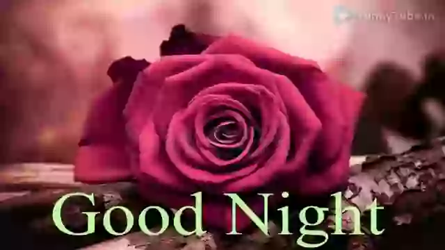 Good Night Quotes In Hindi Whatsapp Status Video