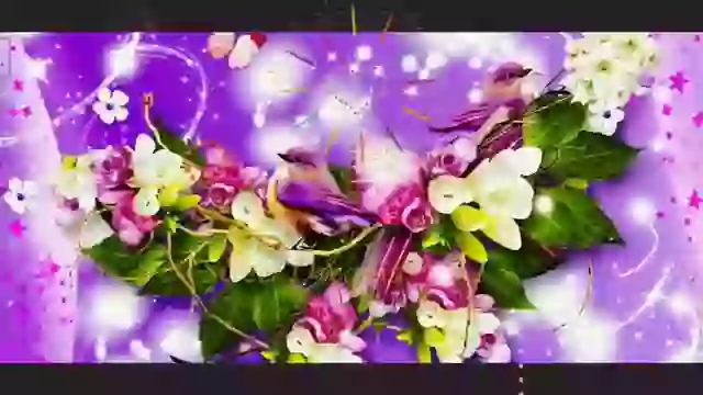 Good Night Shayari For Whatsapp Status