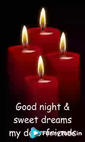 Good Night Status GIF For Whatsapp