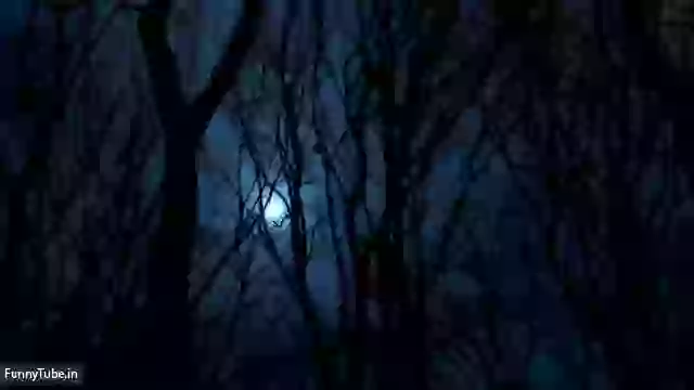 Good Night Status Video Download For Whatsapp