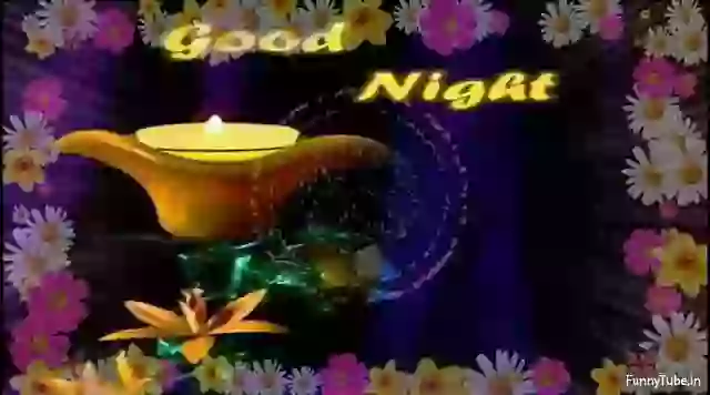 Good Night Status Video For Whatsapp