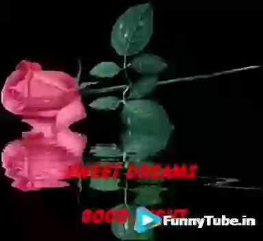 Good Night Sweet Dreams GIF For Whatsapp