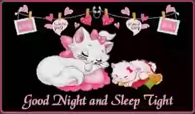Good Night Sweet Dreams Whatsapp GIF Status