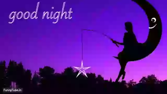 Good Night Sweet Dreams Whatsapp Video Download