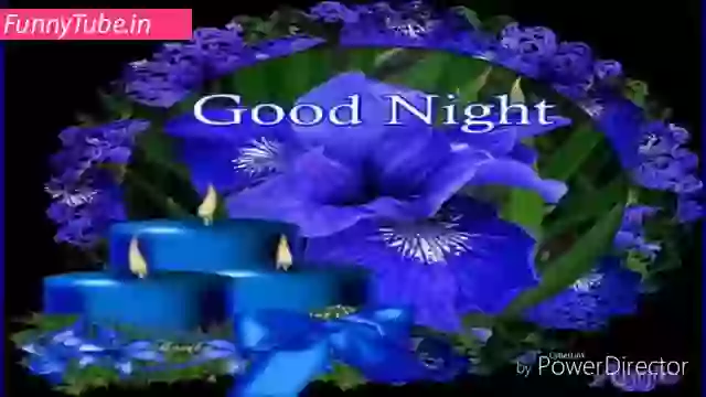Good Night Video For Whatsapp Status