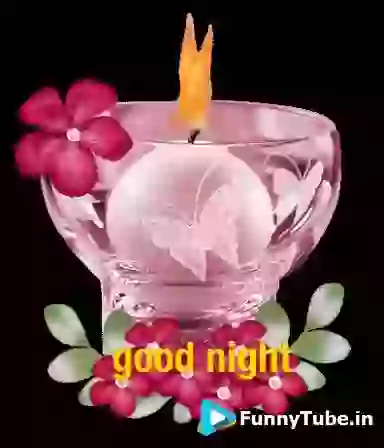 Good Night Wish GIF For Friends