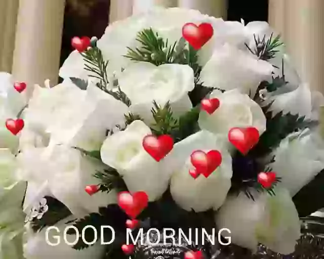 Good morning FLOWERS gif