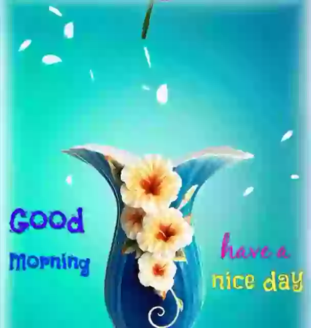 Good morning have nice day GIF video