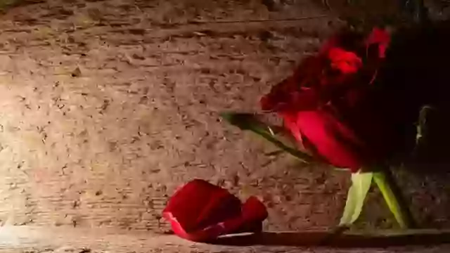 Good morning tamil video download