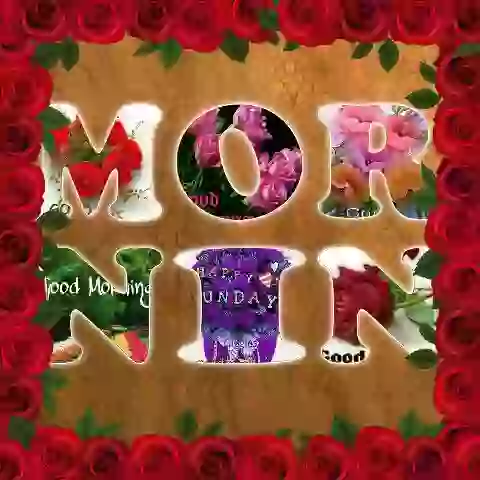 Good morning whatsapp wish video