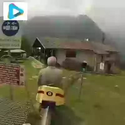 Great Ride Between Trees