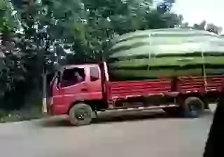 Latest Anti Virus For Your Mobile Funny Whatsapp Video