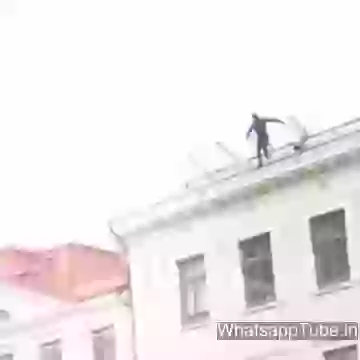 Guess Is This Real Or Fake Stunt