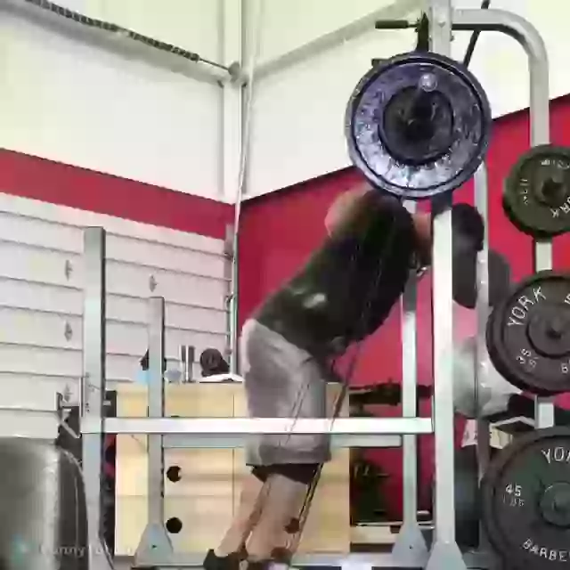 Hahaha First Day To Gym Funny Fail Whatsapp Status