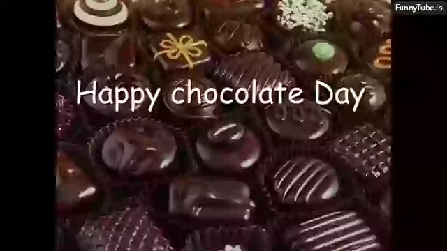 Happy Teddy Day Love Status Video Download