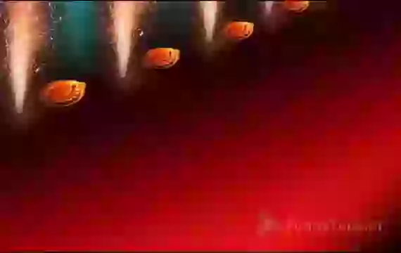 Latest Diwali Wish Video For Whatsapp