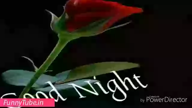 Happy Dreams Good Night Whatsapp Status