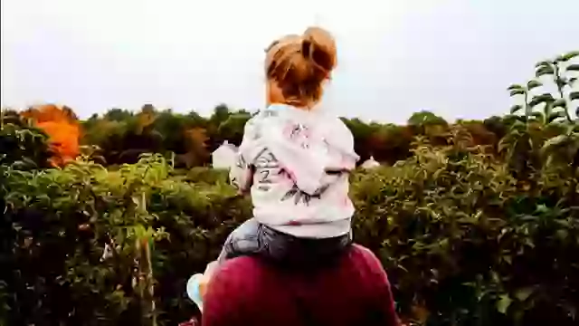 Greetings Video For PAPA Special Fathers Day Wish Status Video