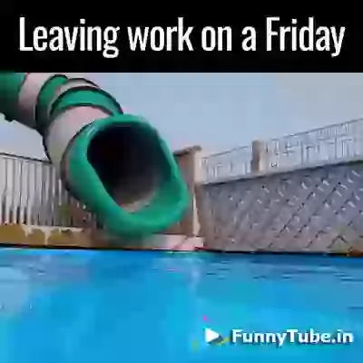 Happy Friday GIF