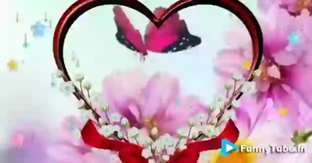 Happy Friday Quotes And Images Whatsapp Video