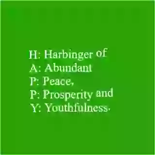 Romantic New Year Wish Video For Love