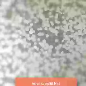 Happy Chhath Puja Wish