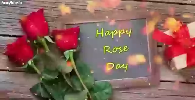 Happy Rose day Whatsapp Status 2019