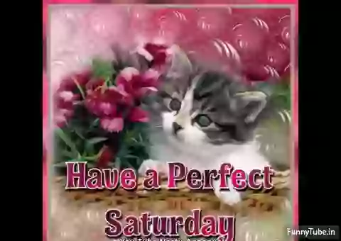 Happy Saturday Quotes And Images Whatsapp Status
