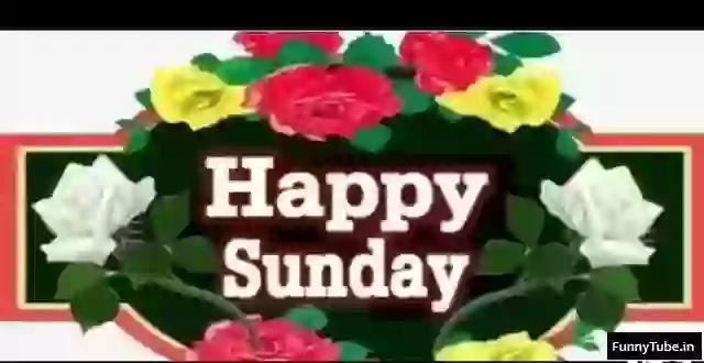 Happy Sunday Whatsapp Status Download 2019
