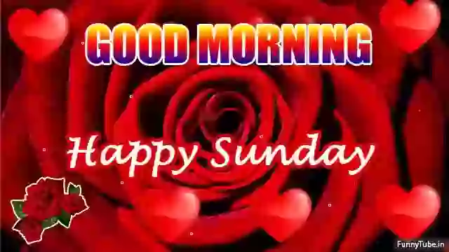 Happy Sunday Wish Whatsapp Status Video