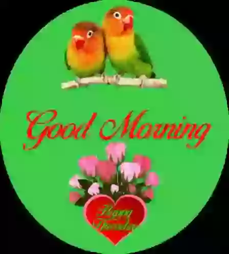 Happy Thursday Good Morning Whatsapp GIF