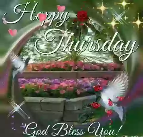 Happy Thursday Quote GIF Status