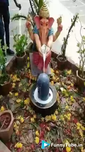 Happy Tuesday Good Morning Video