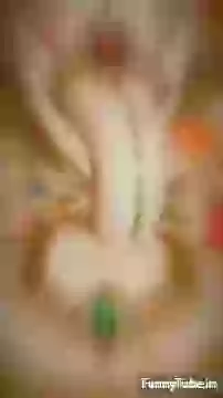 Happy Tuesday Good Morning Whatsapp Status