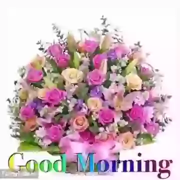 Har Pal Yaha Ji Bhar Jiyo Beautiful Good Morning Whatsapp Video
