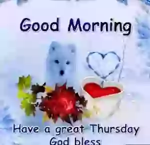 Have A Great Thursday Good Morning Whatsapp GIF