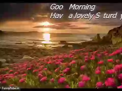 Have A Nice Saturday Good Morning Status Video