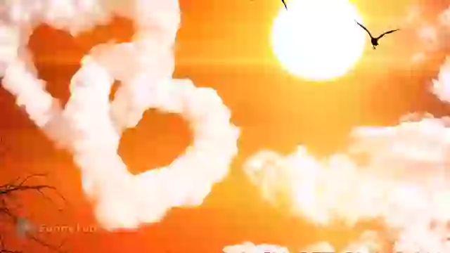 Have A Sweet Sunday Good Morning Whatsapp Status