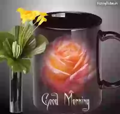 Have Beautiful Morning Whatsapp GIF