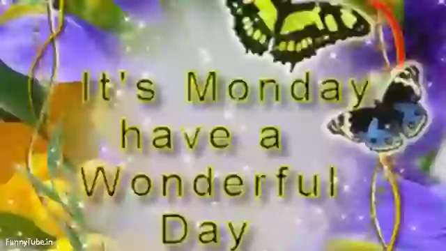 Have Wonderful Monday Morning Status Video