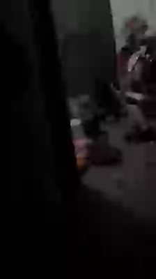 He is an animal hilarious