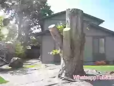 He is an incredible art maker