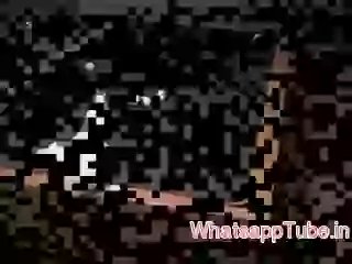 Hen playing pool funny