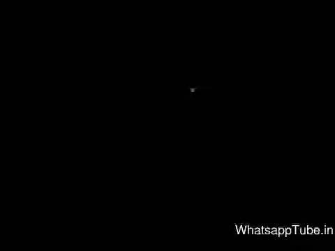 Hilarious Flood Video Captured