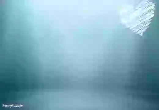 Hindi Shayari For Good Morning Whatsapp Status