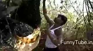 Honey lover is here with no fear