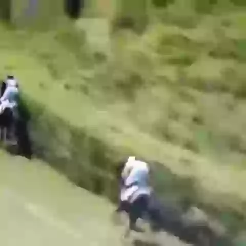 Horse Racing Fail OMG