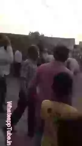 Horse dancing amazing